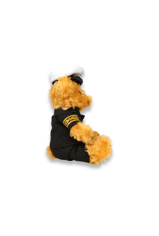 Captain Bear